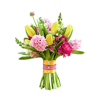 Gladiolus Flowers