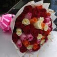 IMG_20260529_114556